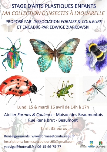 Stage Une collection d'insectes paques 2024.jpg